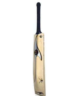 Silver/Gold XX Cricket Bat