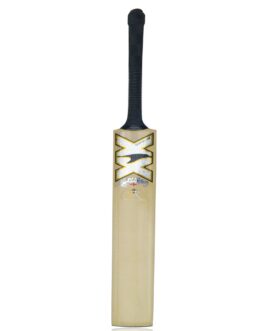 Silver/Gold XX Cricket Bat